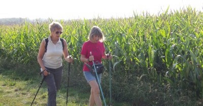 Marche hebdomadaire du mardi