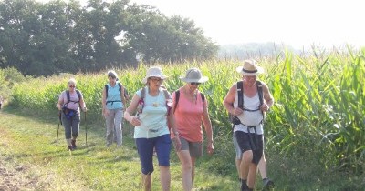 Marche hebdomadaire du mardi