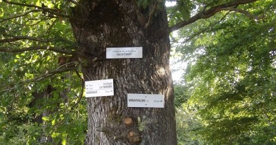 Marche hebdomadaire du mardi