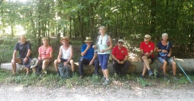 Marche hebdomadaire du mardi