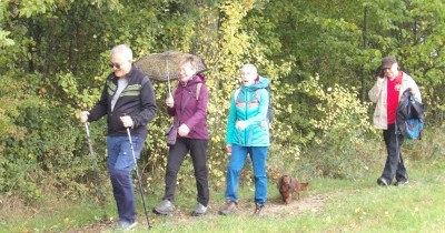 Marche hebdomadaire du mardi