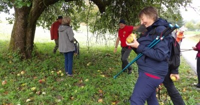 Marche hebdomadaire du mardi
