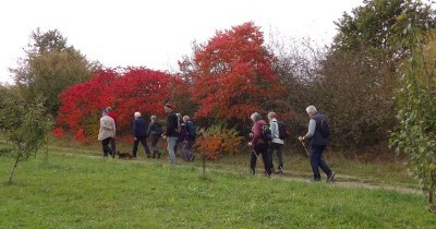 Marche hebdomadaire du mardi