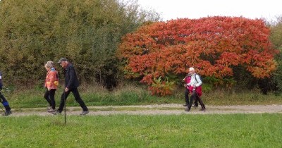Marche hebdomadaire du mardi