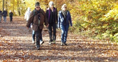 Marche hebdomadaire du mardi