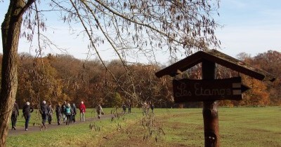 Marche hebdomadaire du mardi