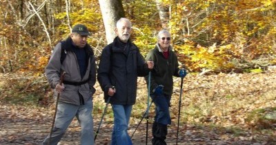 Marche hebdomadaire du mardi