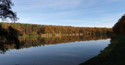 Marche hebdomadaire du mardi