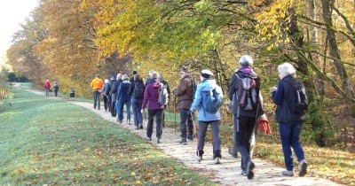 Marche hebdomadaire du mardi