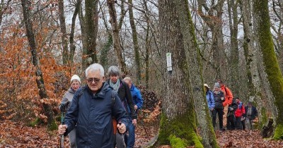 Marche hebdomadaire du mardi