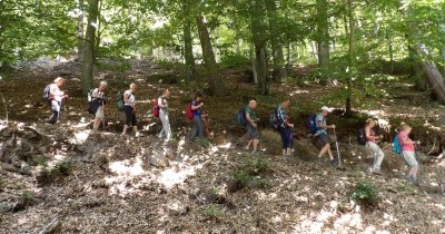 Rando à la journée Le Grand Wintersberg - 23 juillet 2026