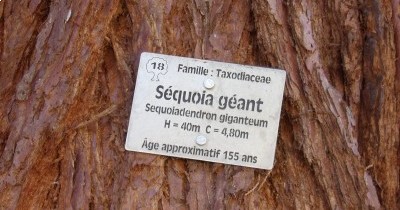 Rando à la journée Le Grand Wintersberg - 23 juillet 2026