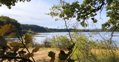 Rando à la journée Réchicourt-le-Château - 17 septembre 2026