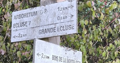 Rando à la journée Réchicourt-le-Château - 17 septembre 2026
