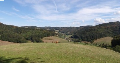 Week-end en Forêt-Noire à Waldkirch - du 11 au 13 septembre 2026