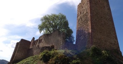 Week-end en Forêt-Noire à Waldkirch - du 11 au 13 septembre 2026