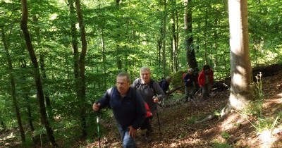 Rando «Asperges» du 4 mai 2014