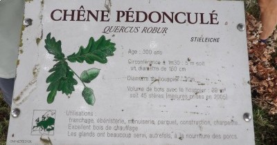 Marche hebdomadaire