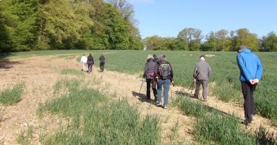 Marche hebdomadaire