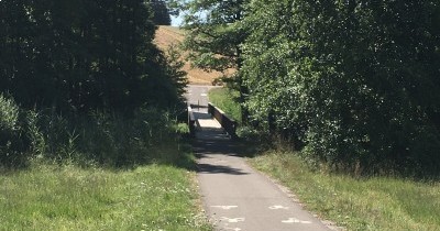 Marche hebdomadaire Marche hebdomadaire