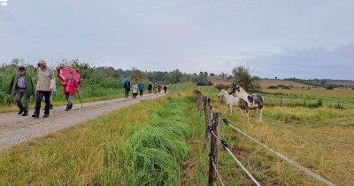 Marche hebdomadaire Marche hebdomadaire