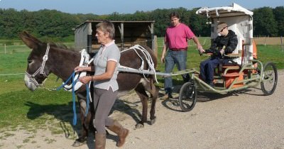 Une «Randoline» pour l’association «Equit’aide» - Handi-Cheval-Lorraine 2010