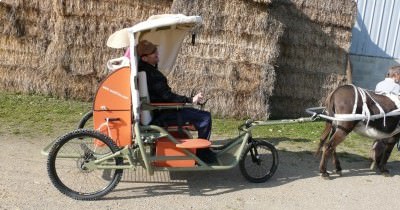 Une «Randoline» pour l’association «Equit’aide» - Handi-Cheval-Lorraine 2010