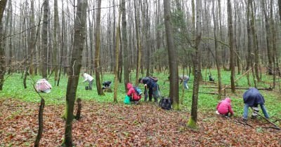 Marche - Ramassage Ail des Ours - 05 avril 2016