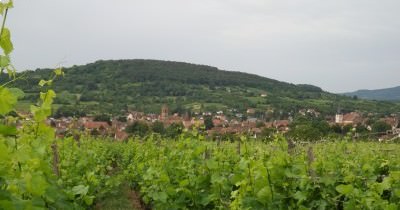 La Boucle des Balcons de Rosheim - 20 juin 2021