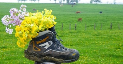 Rando à la journée - 18 juin 2026